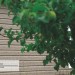 Сайдинг Ю-Пласт TIMBERBLOCK Пихта (Тимберблок) Cахалинская купить в Адлере