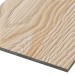 Фиброцементные панели FCSPRO Decor Wood Лиственница купить в Адлере